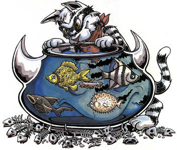 OpenBSD